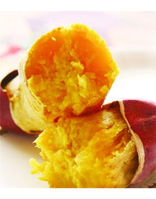 泉城烤薯加盟詳解 費用、總部及地瓜坊餐飲管理分析